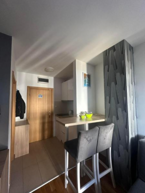 Zlatibor Apartman 19